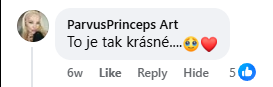 Recenzia na Facebooku 19
